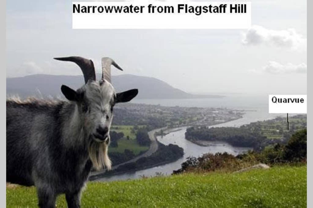 Quarvue Farmhouse, Unique House With Views Of Mournes And Cooleys O Meith Luaran gambar